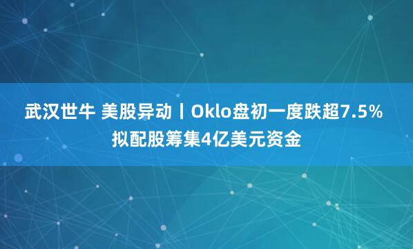 武汉世牛 美股异动丨Oklo盘初一度跌超7.5% 拟配股筹集4亿美元资金