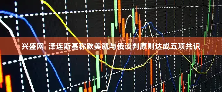 兴盛网  泽连斯基称欧美就与俄谈判原则达成五项共识
