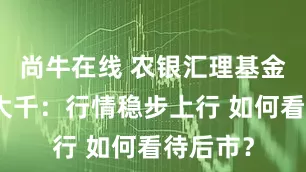 尚牛在线 农银汇理基金经理钱大千：行情稳步上行 如何看待后市？
