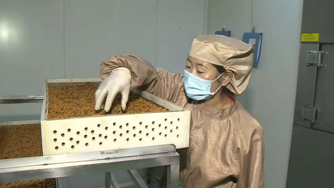 次仁措姆